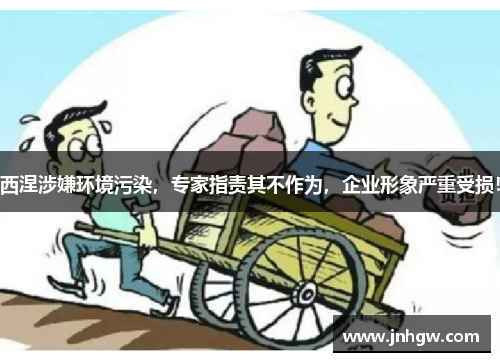 西涅涉嫌环境污染，专家指责其不作为，企业形象严重受损！