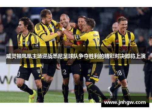 威灵顿凤凰主场迎战悉尼足球队争夺胜利的精彩对决即将上演